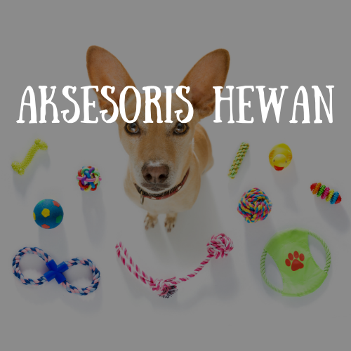 makanan peralatan kucing