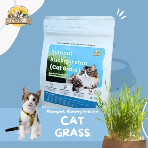 rumput kucing