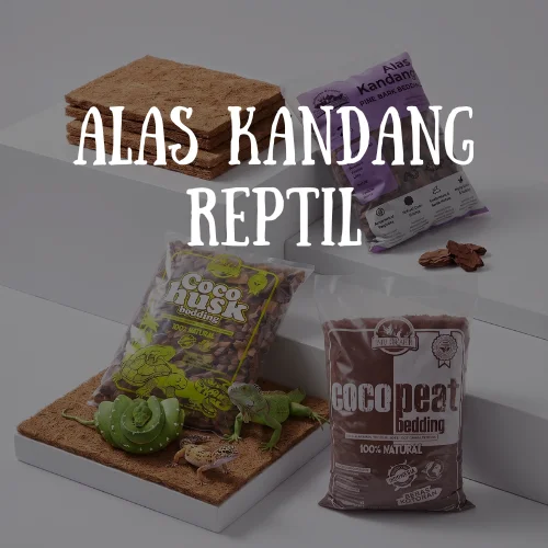 Alas Kandang Reptil alas kandang reptil