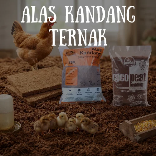 Alas Kandang Ternak alas kandang ternak