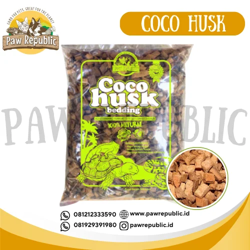 coco husk gecko