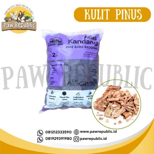 kulit pinus