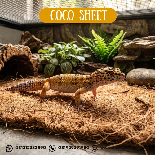 coco sheet alas kandang
